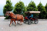 Pferdekutschen und Kutschenfahrten für ihre Incentives in Oberbayern und Salzburg